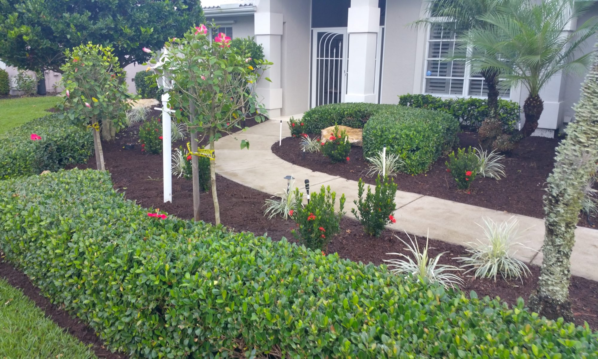 Aunt Bees Lawn Care Services in Venice FL